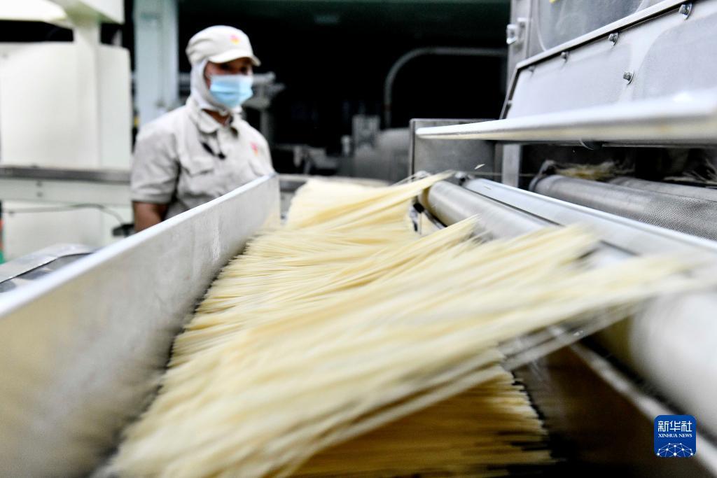老虎机白菜体验金论坛